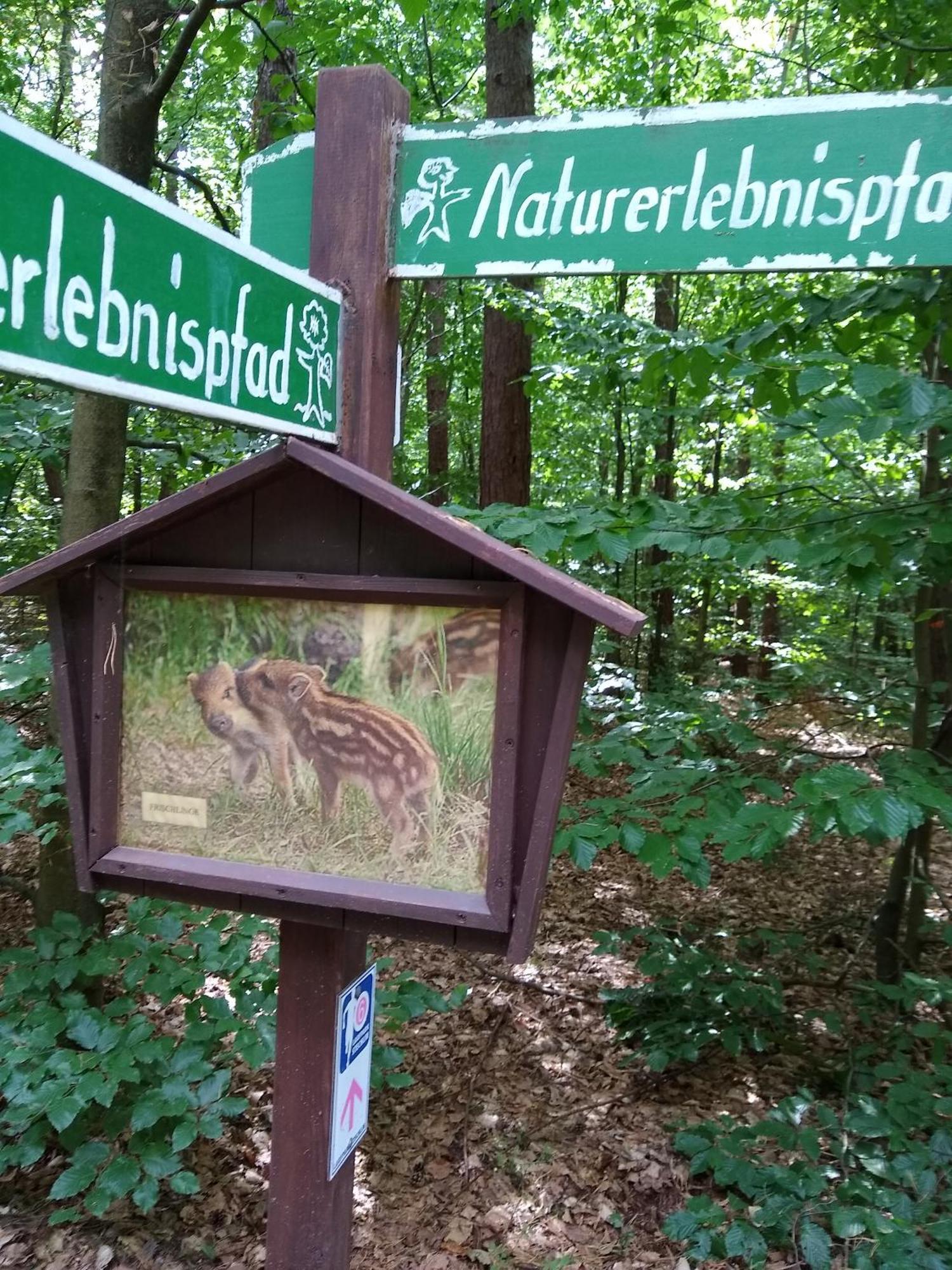 Zwei Seen Ferienhaus Canow Екстер'єр фото